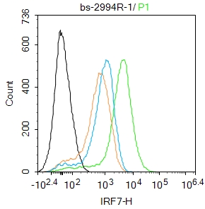 0 - IRF7 Rabbit pAb AP52307