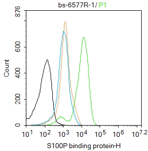 0 - S100P binding protein Rabbit pAb AP52310