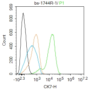 0 - CK7 Rabbit pAb AP52316