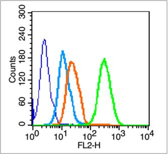 0 - CD41/ITGA2B Rabbit pAb AP52334
