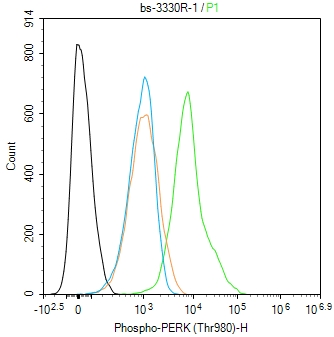0 - phospho-PERK (Thr980) Rabbit pAb AP52346
