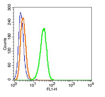 0 - DYNC1I1 Rabbit pAb AP54269