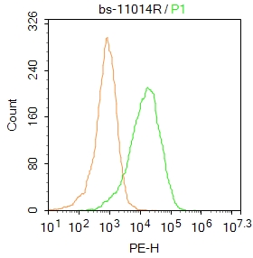 0 - ILVBL Rabbit pAb AP54341