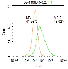 0 - LRFN4 Rabbit pAb AP54367