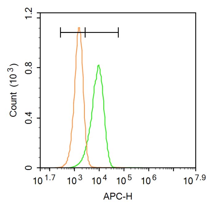 0 - CASPR Rabbit pAb AP54391