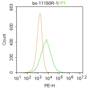0 - ABCA7 Rabbit pAb AP54416
