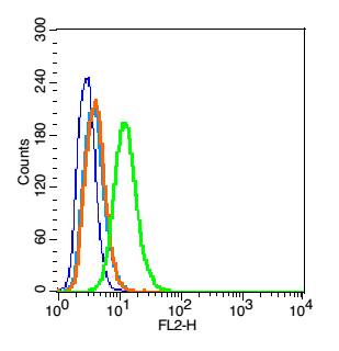 0 - ProSAPiP1 Rabbit pAb AP54423