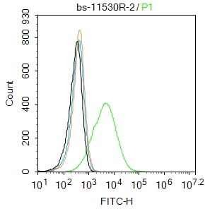0 - LAR Rabbit pAb AP54534