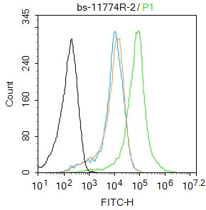 0 - WRB Rabbit pAb AP54622