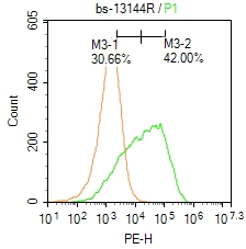 0 - FARP1 Rabbit pAb AP55071