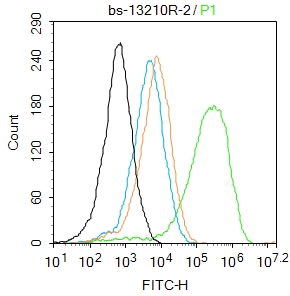 0 - FOXRED2 Rabbit pAb AP55091