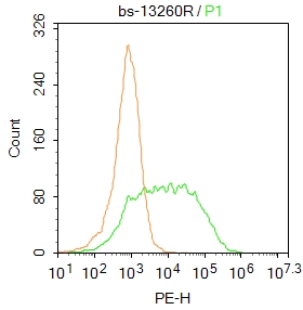 0 - GABA Transporter 3 Rabbit pAb AP55109
