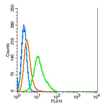 0 - Giantin Rabbit pAb AP55144