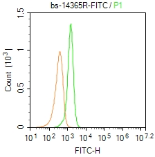 0 - DNAH5 Rabbit pAb AP55539
