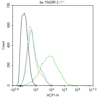 0 - HCP1 Rabbit pAb AP55987