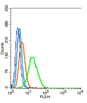 0 - HDPTP Rabbit pAb AP55991