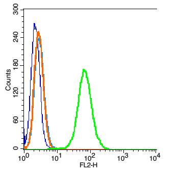 0 - HELZ Rabbit pAb AP56002