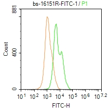 0 - FMNL3 Rabbit pAb AP56152