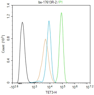 0 - TET3 Rabbit pAb AP56759