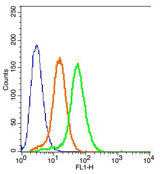 0 - GPR78 Rabbit pAb AP56940