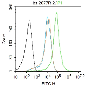 0 - AMPD1 Rabbit pAb AP57809
