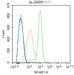 0 - NFAM1 Rabbit pAb AP58047