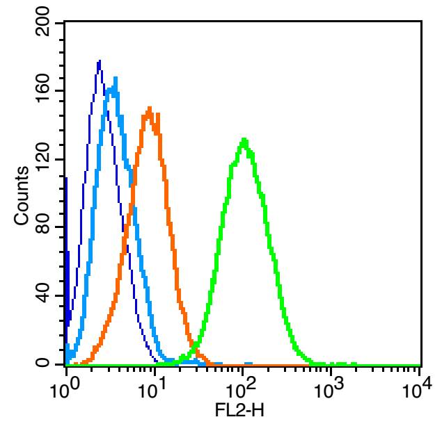 0 - LILRB3/CD85a Rabbit pAb AP58049