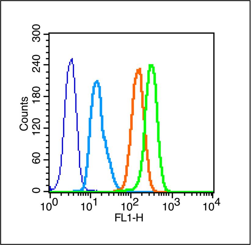 0 - Caveolin-3 Rabbit pAb AP58079