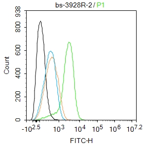 0 - ALS2CR2 Rabbit pAb AP58110