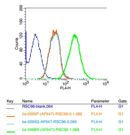 0 - NARG2 Rabbit pAb AP58352