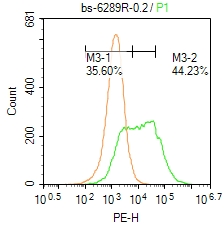 0 - ACPT Rabbit pAb AP58412