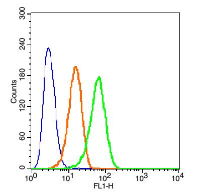 0 - beta Defensin 3 Rabbit pAb AP58656