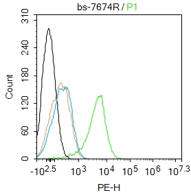 0 - Porimin Rabbit pAb AP58709