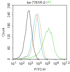 0 - Myosin VIIa Rabbit pAb AP58748