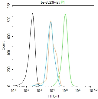 0 - TET1 Rabbit pAb AP59025