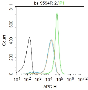 0 - PINX-1 Rabbit pAb AP59299