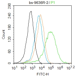 0 - XTP4 Rabbit pAb AP59319