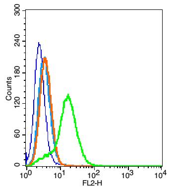 0 - EGFR5 Rabbit pAb AP59390