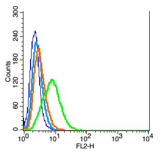 0 - C3orf17 Rabbit pAb AP59399