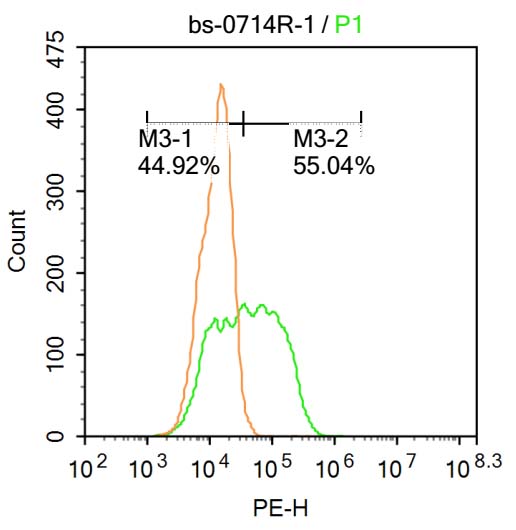 0 - HPV16 E7 Rabbit pAb AP93933