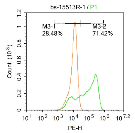0 - CCL26 Rabbit pAb AP93948
