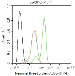 0 - Neuronal thread protein AD7c-NTP Rabbit pAb AP93969