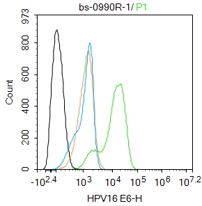 0 - HPV16 E6 Rabbit pAb AP93997
