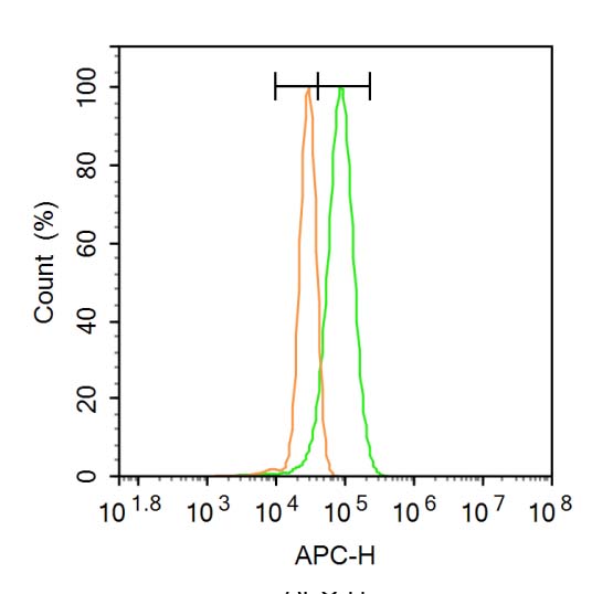 0 - ILDR1 Rabbit pAb AP94042