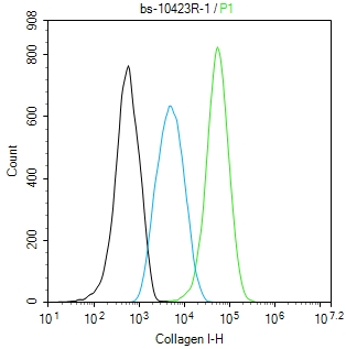 0 - Collagen I Rabbit pAb AP94077