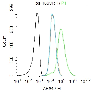 0 - Galectin 9 Rabbit pAb AP94113