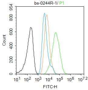 0 - HSP70 Rabbit pAb AP94116