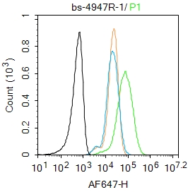 0 - IL-1 Alpha Rabbit pAb AP94118
