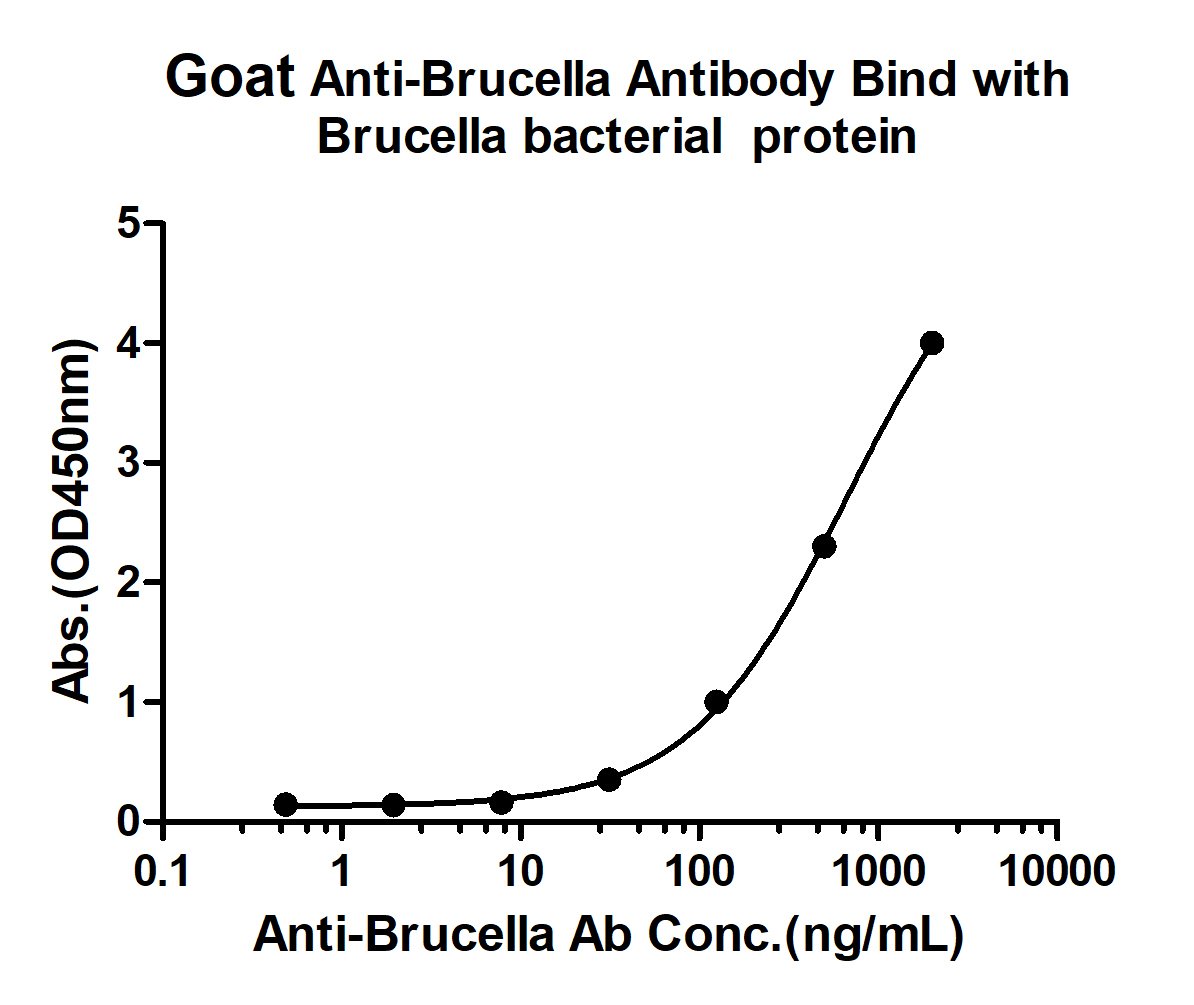 0 - Brucella Goat pAb AP94138