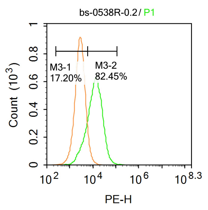 0 - Cdkn1c Rabbit pAb AP94146